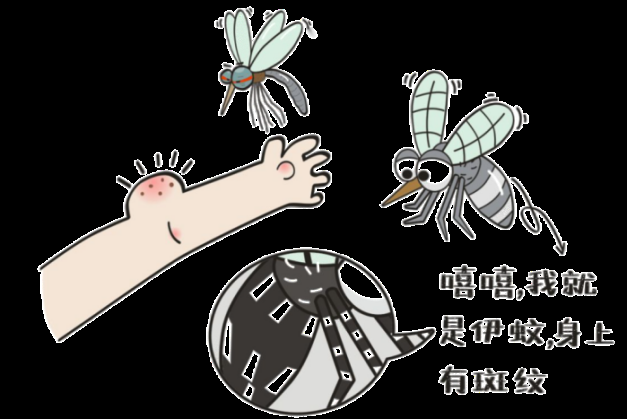ee38edccad4c47c28efbf76d5b44b498.png