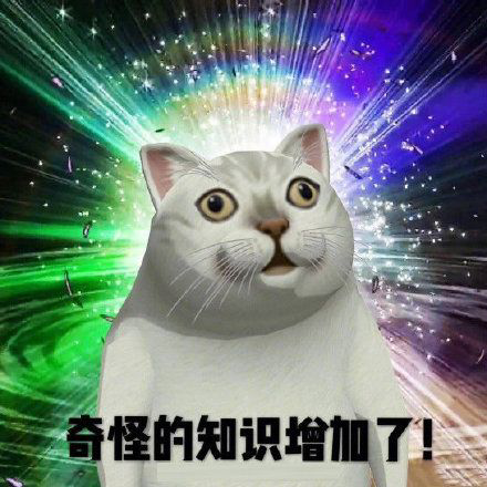 0a88bac98fe54460885aac66bd1d55d2.jpeg