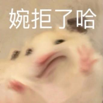 8c62e004eee74e2bb11555e35b23ccc6.jpeg