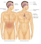 a0688e30d1d849aab25e7420bf699d8f.png