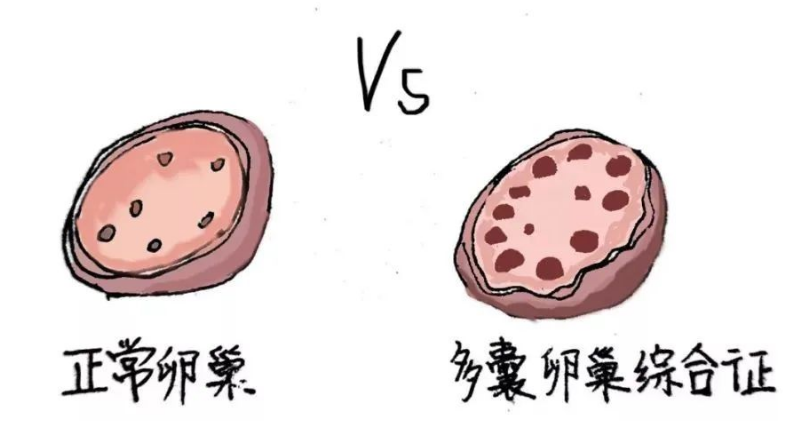 c68227810412459e9826194738c9a0ec.png