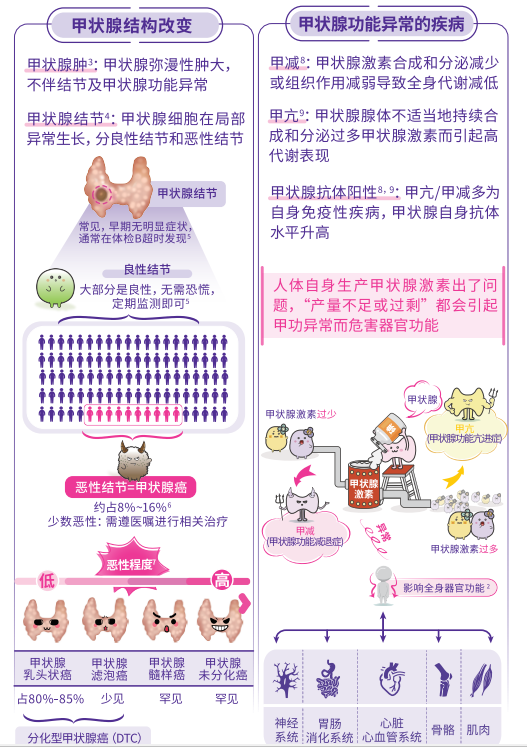 11aeff78cad745c596ac785cb4dc597b.png